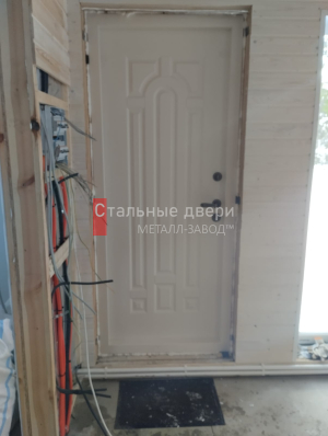 Фото двери №380