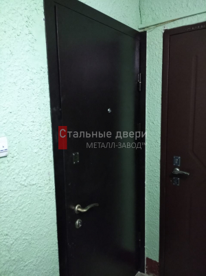 Фото двери №96