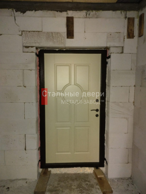 Фото двери №385