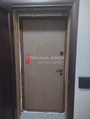 Фото двери №399