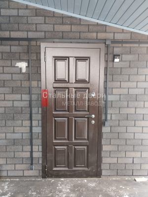Фото двери №376
