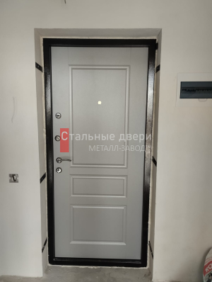 Фото двери №416